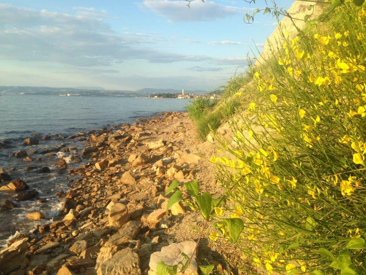Apartma Ada Izola Exteriör bild